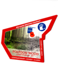 Polygon Wood