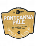 Pontcanna Pale