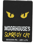 Scaredy Cat