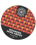 Wounded Skies Above